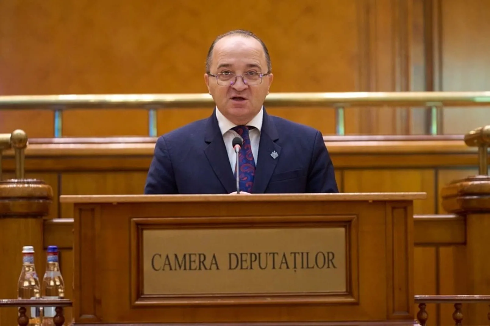 deputat aur petru negrea