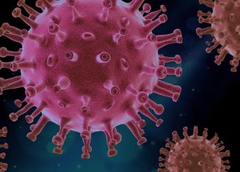 Pericol global: virus letal fără tratament se extinde accelerat