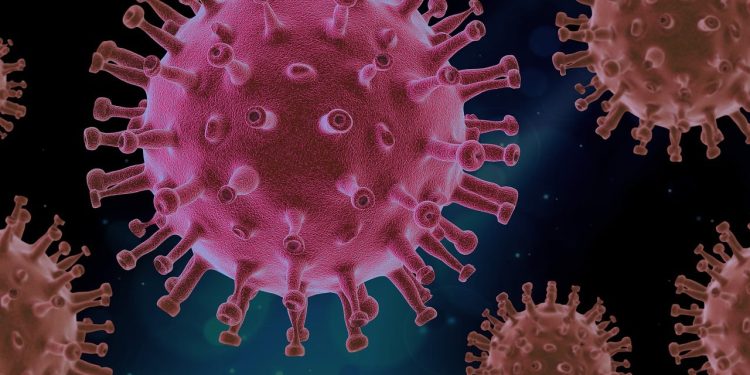 Pericol global: virus letal fără tratament se extinde accelerat