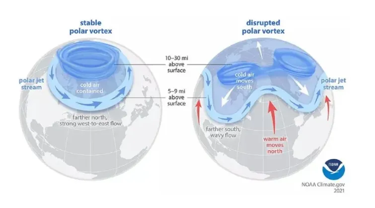 vortex polar
