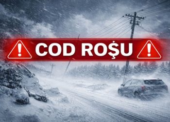 Cod roșu de fenomene periculoase: Capitala și județul Ilfov, lovite de iarna severă — copaci căzuți și mașini avariate