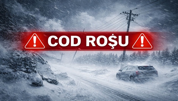 Cod roșu de fenomene periculoase: Capitala și județul Ilfov, lovite de iarna severă — copaci căzuți și mașini avariate