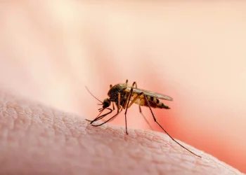 Alertă sanitară: trei copii suspecți de malarie după o călătorie în Africa