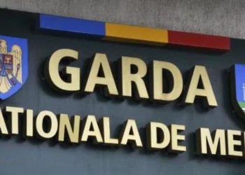 FOTO Primăria comune din Brăila, amendată de comisarii de mediu: ce nereguli au fost găsite