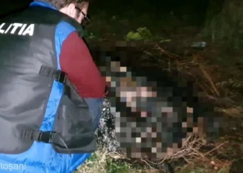 Descoperire șocantă în Pădurea Cernica: o femeie, găsită îngropată. Fiica de 14 ani, acuzată că a orchestrat crima