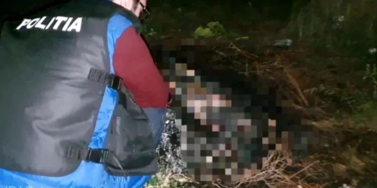 Descoperire șocantă în Pădurea Cernica: o femeie, găsită îngropată. Fiica de 14 ani, acuzată că a orchestrat crima