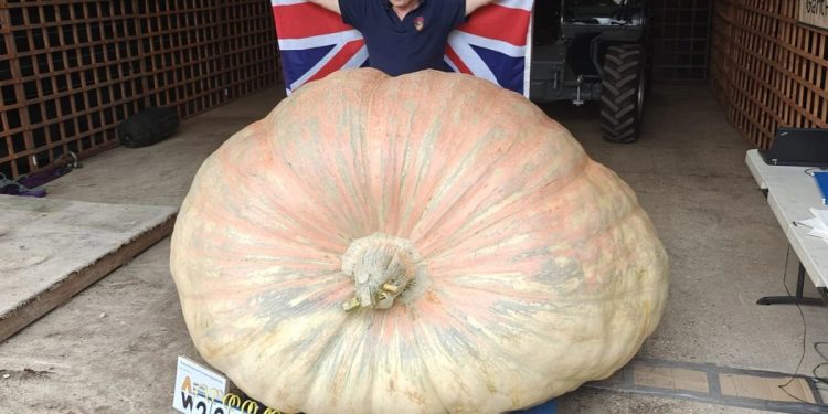 Un britanic a crescut un dovleac mare cât un hipopotam și a înscris un nou record mondial