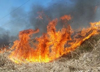 Incendiu de pădure în Vâlcea, în apropierea Mănăstirii Boia. Pompierii au identificat trei focare
