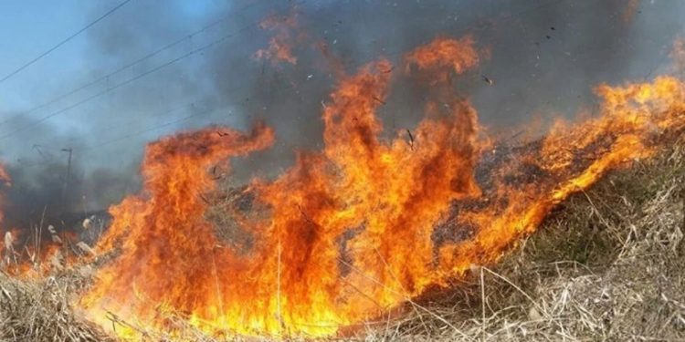 Incendiu de pădure în Vâlcea, în apropierea Mănăstirii Boia. Pompierii au identificat trei focare