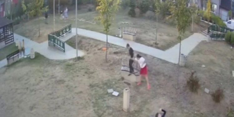 Tineri surprinși în timp ce distrugeau mobilierul unui parc din Bistrița. Primarul cere ajutorul localnicilor pentru identificarea lor